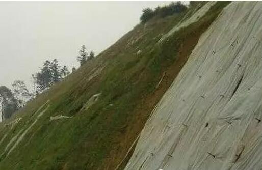 城市绿地用非织造布